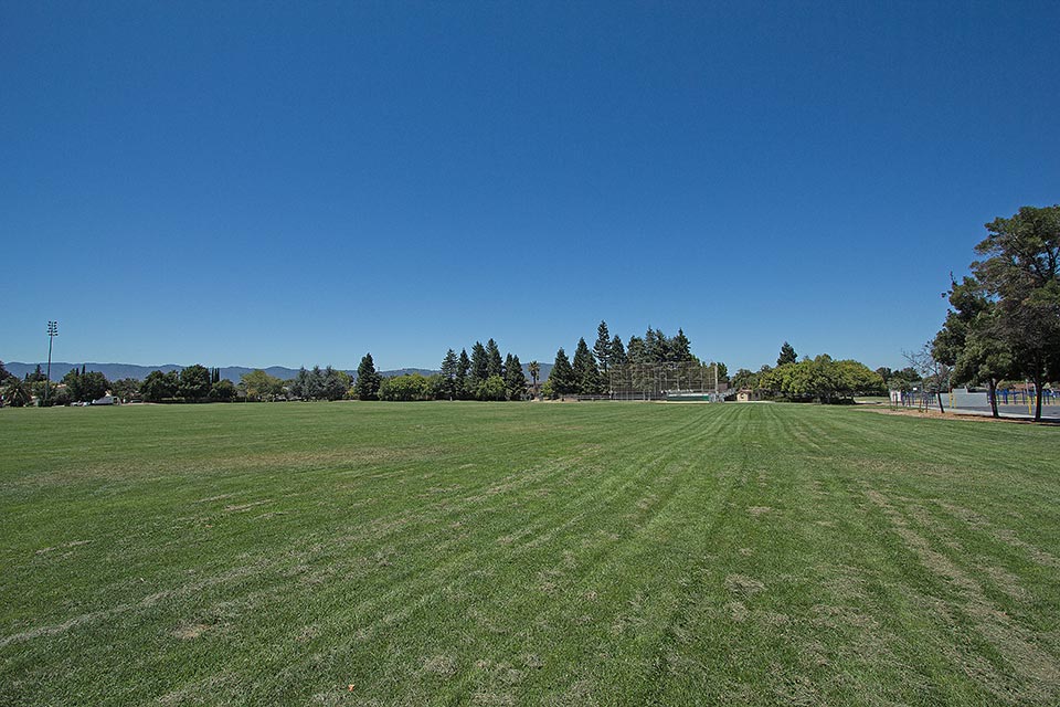 Large Grass Field
