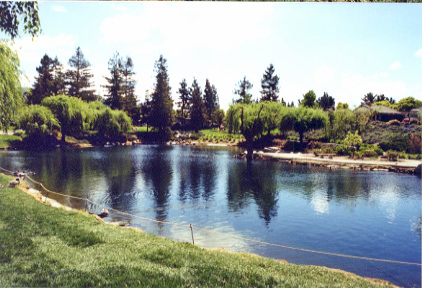 Pond 3
