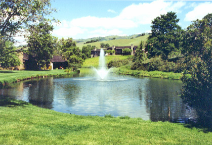 Pond 4